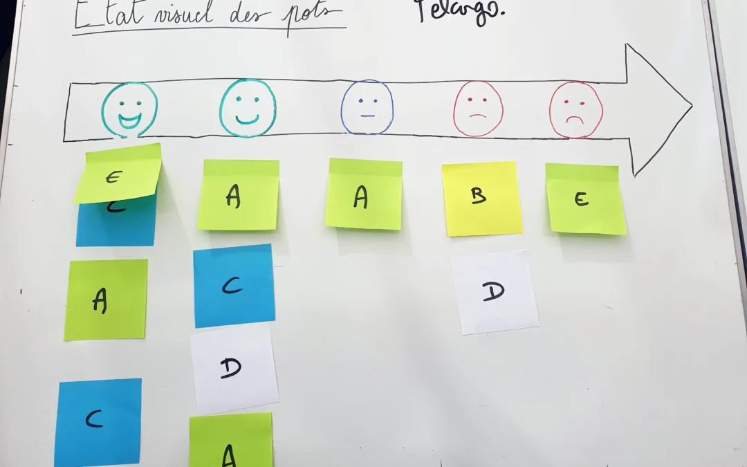 Atelier avec la SHOL
