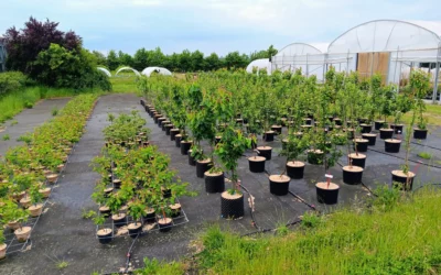 Lancement de la saison des essais !