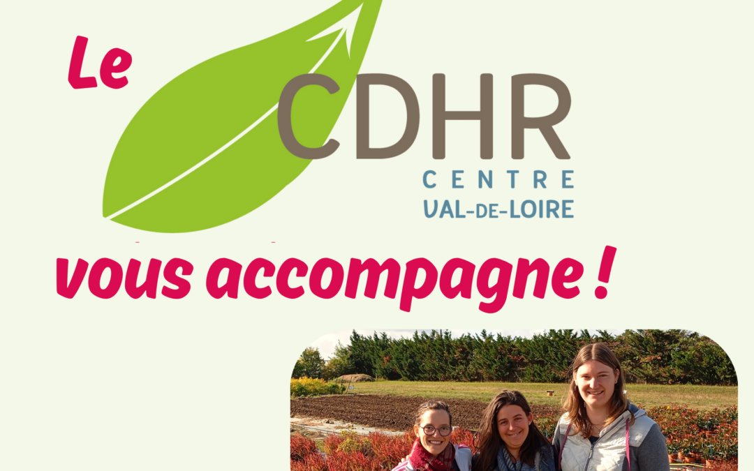 Un projet d’investissement ? Des aides sont disponibles !