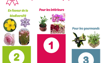 Notre Top 10 100% végétal pour la fête des mères !