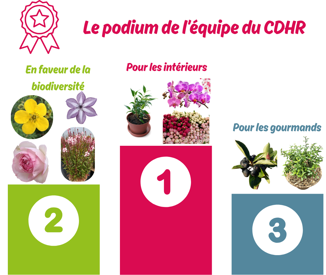 Notre Top 10 100% végétal pour la fête des mères !
