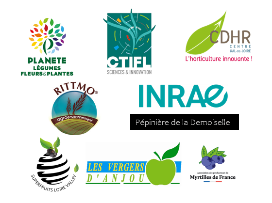 partenaires